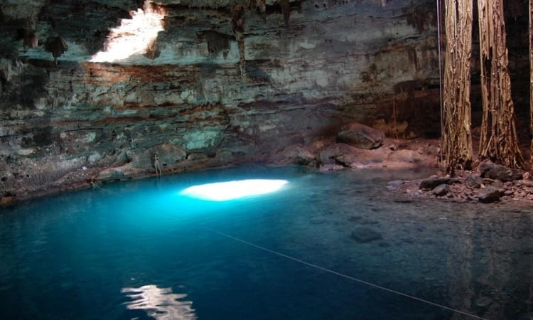 All You Need to Know to Visit Cenote San Lorenzo Oxman