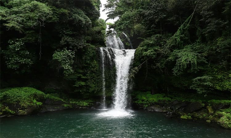 Full Guide to the Thrilling Uvita Waterfall of Costa Rica