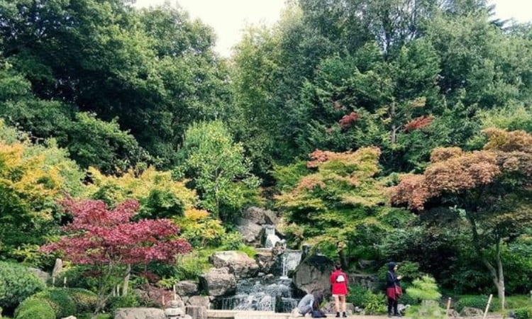 Things to Know About Kyoto Garden In Holland Park