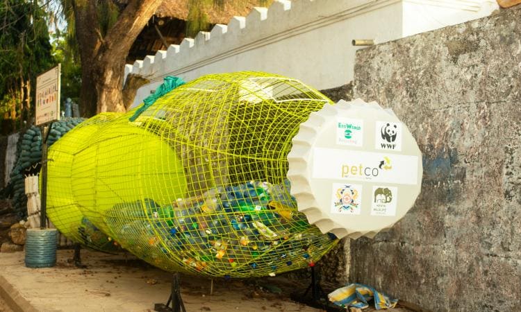 Small Things You Do Can Create the Biggest Change